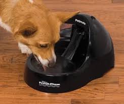 Petmate fontaine pour chats et chiens Deluxe Fresh Flow 3.19 L