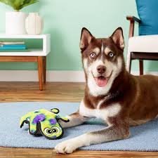 Outward Hound Gecko peluche Invincibles