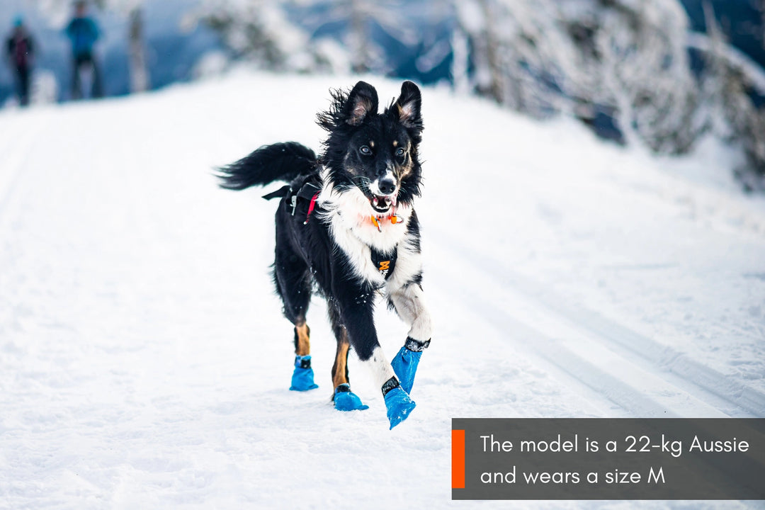 Non-Stop Dogwear bottes Long Distance Bootie