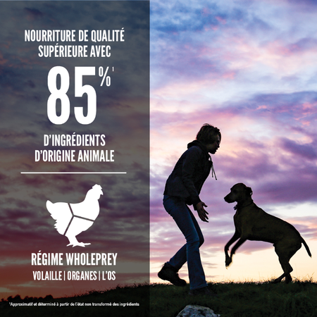 Orijen nourriture sèche pour chiots de grandes races sans grains 11.4 kg                         ** NOURRITURE SÈCHE NON VENDUE EN LIGNE **