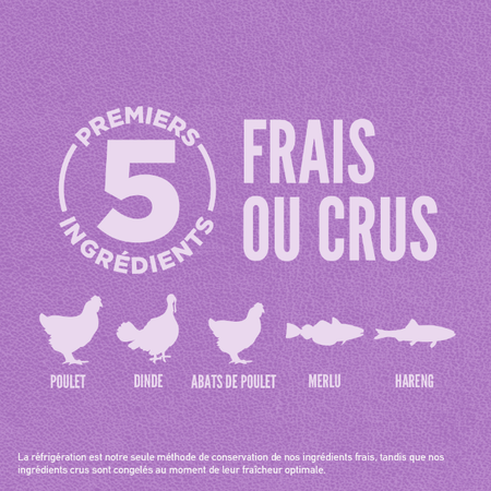 Orijen nourriture sèche pour chiots de grandes races sans grains 11.4 kg                         ** NOURRITURE SÈCHE NON VENDUE EN LIGNE **