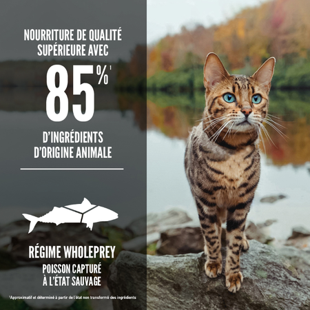 Orijen nourriture sèche pour chats Six Fish sans grains                      ** NOURRITURE SÈCHE NON VENDUE EN LIGNE **