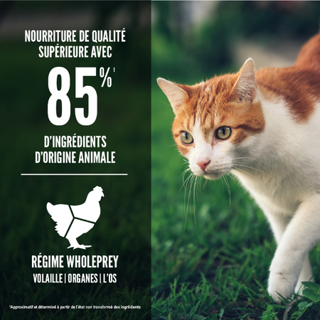 Orijen nourriture sèche pour chats Fit & Trim sans grains                ** NOURRITURE SÈCHE NON VENDUE EN LIGNE **