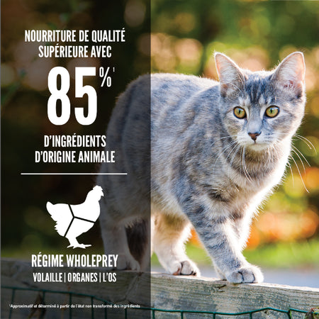 Orijen nourriture sèche pour chats Originale sans grains               ** NOURRITURE SÈCHE NON VENDUE EN LIGNE **