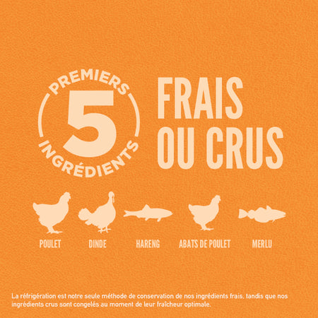 Orijen nourriture sèche pour chats Originale sans grains               ** NOURRITURE SÈCHE NON VENDUE EN LIGNE **