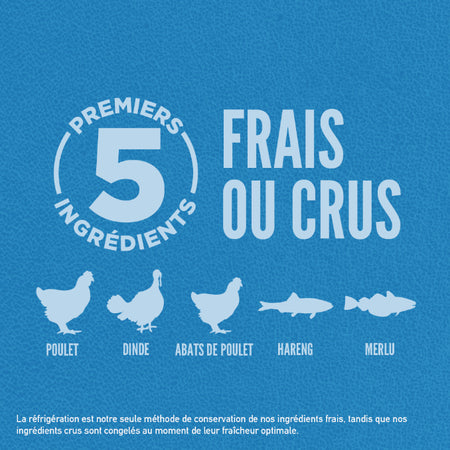 Orijen nourriture sèche pour chiens Originale sans grains 11.4 kg                        ** NOURRITURE SÈCHE NON VENDUE EN LIGNE **