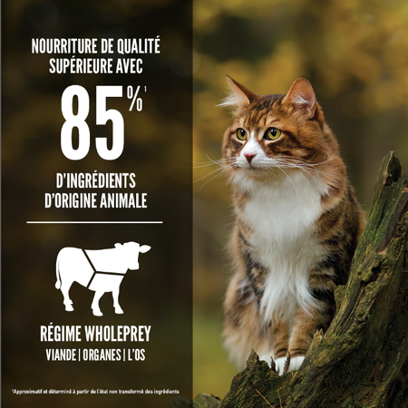 Orijen nourriture sèche pour chats Regional Red sans grains                 ** NOURRITURE SÈCHE NON VENDUE EN LIGNE **