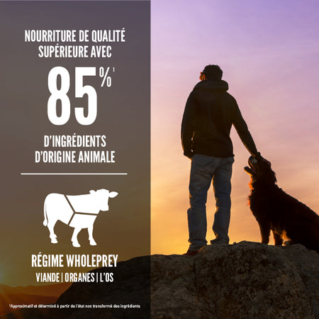 Orijen nourriture sèche pour chiens Regional Red sans grains                     ** NOURRITURE SÈCHE NON VENDUE EN LIGNE **