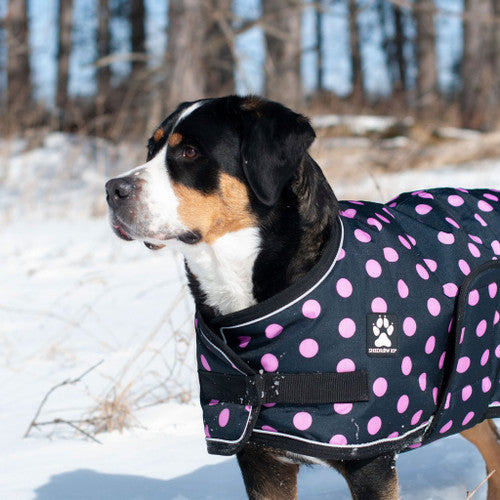 Shedrow manteaux pour chiens Glacier