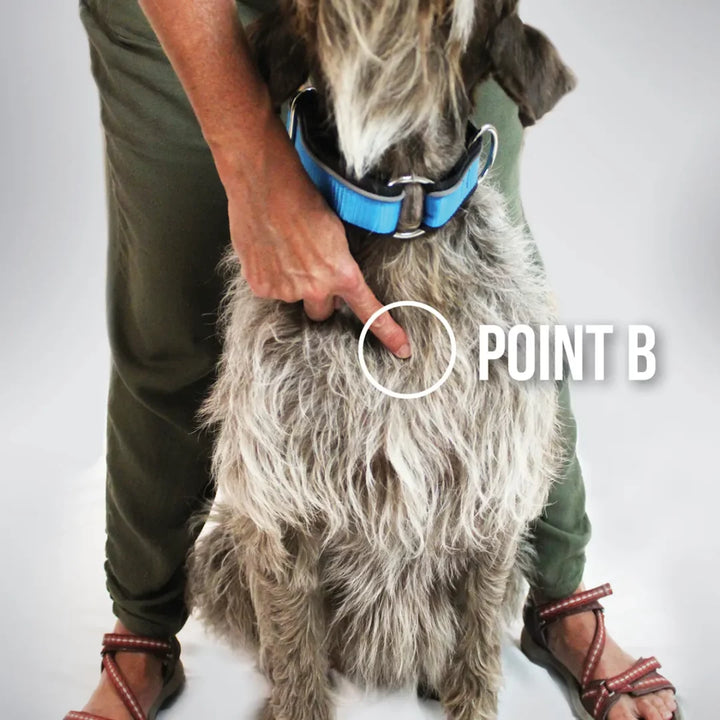 Nahak harnais hybride pour chiens
