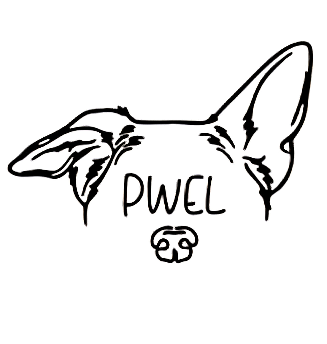 Pwel foulards pour chiens et chats