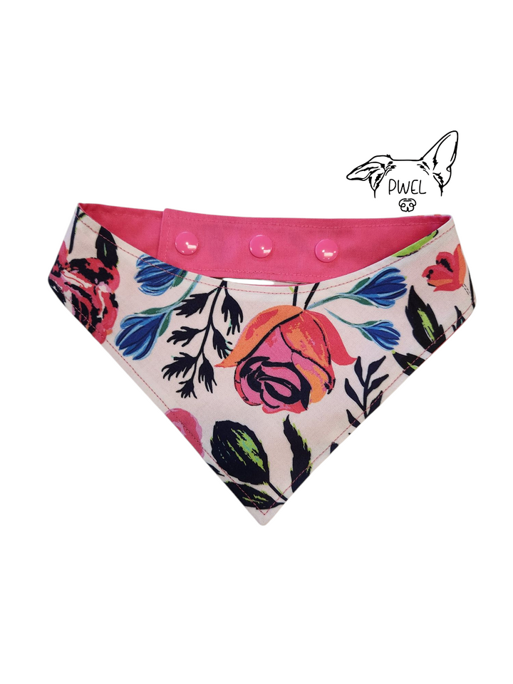 Pwel foulards pour chiens et chats