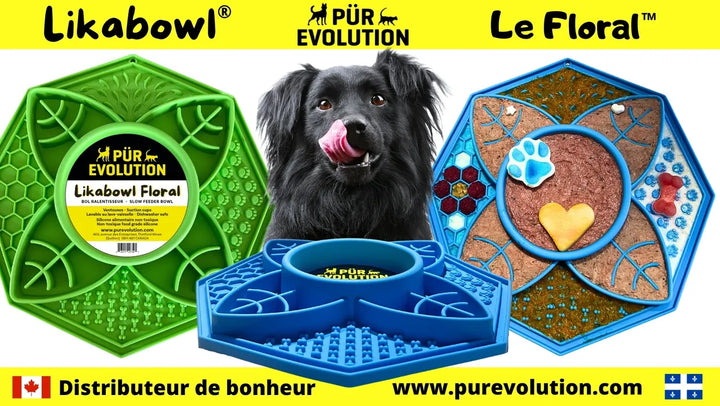 Pür Evolution bol interactif LikaBowl