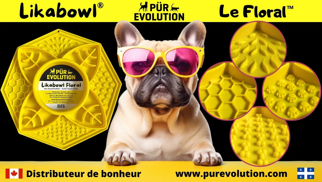 Pür Evolution bol interactif LikaBowl