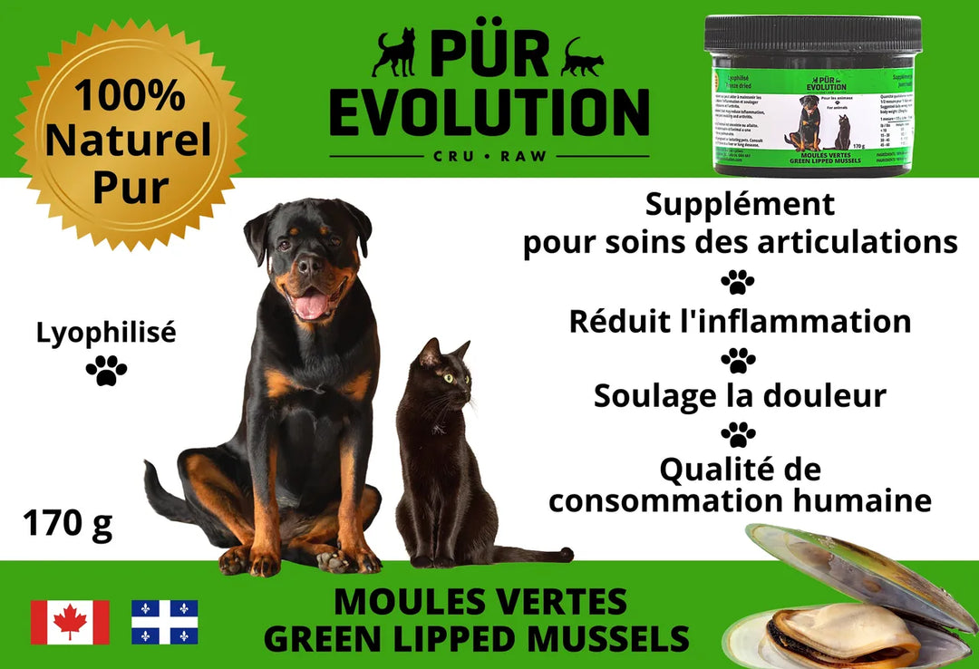 Pür Evolution moule verte 170g