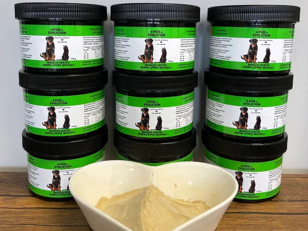 Pür Evolution moule verte 170g