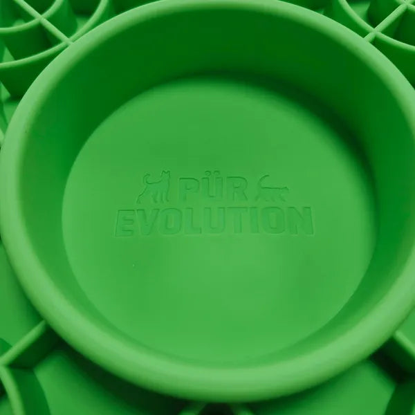 Pür Evolution bol interactif LikaBowl