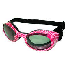 Doggles lunettes de protection pour chiens