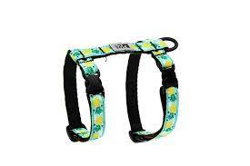 RC Pets harnais pour chats Primary Kitty