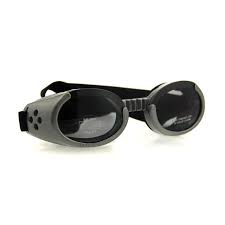 Doggles lunettes de protection pour chiens