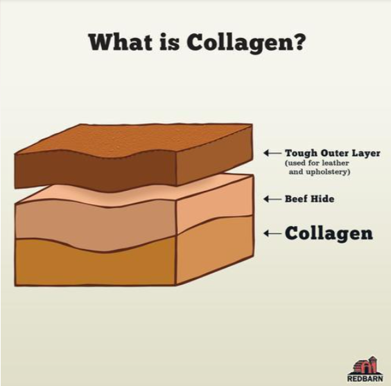 RedBarn Torsade (twist) de Collagène soufflé