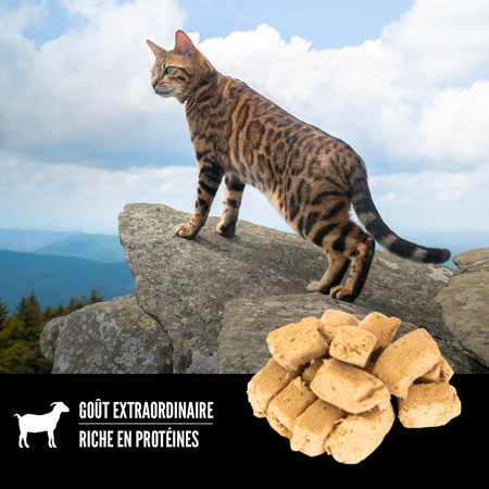 Orijen gâterie lyophilisée pour chats Toundra 35g