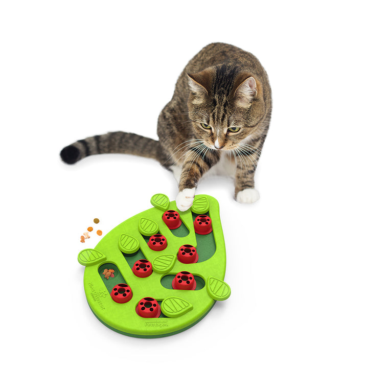 Petstages Nina Ottosson jouet interactif Buggin' Out Puzzle & Play