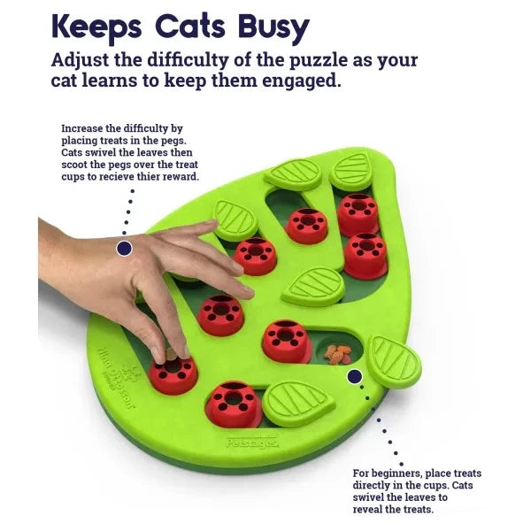 Petstages Nina Ottosson jouet interactif Buggin' Out Puzzle & Play