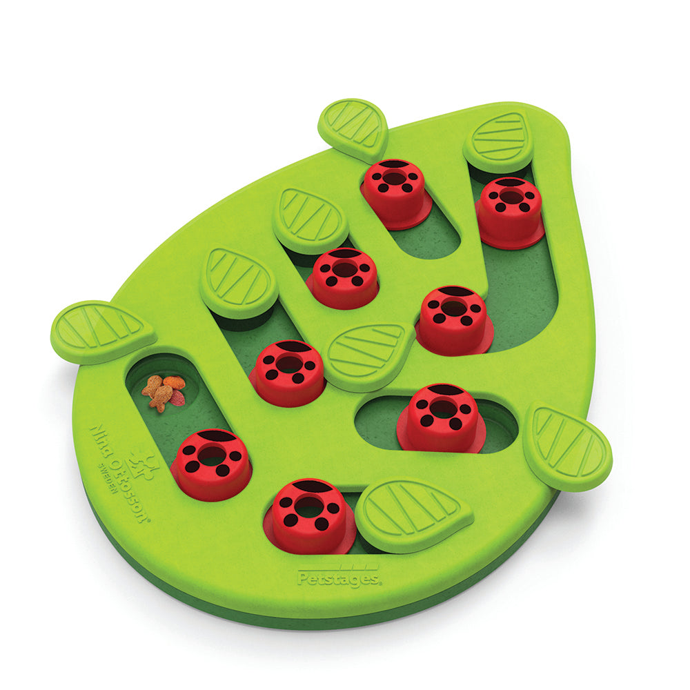 Petstages Nina Ottosson jouet interactif Buggin' Out Puzzle & Play