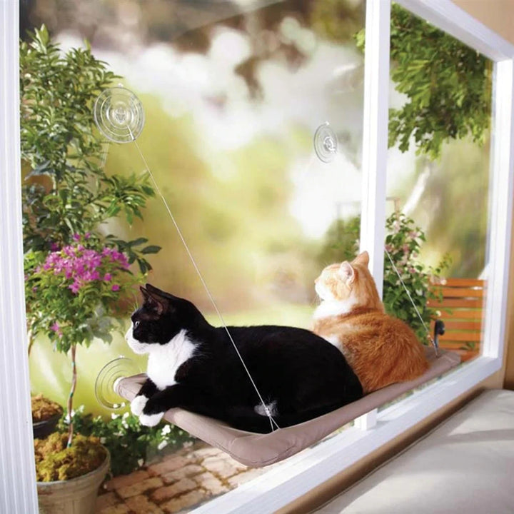Oster lit pour chat Sunny Seat