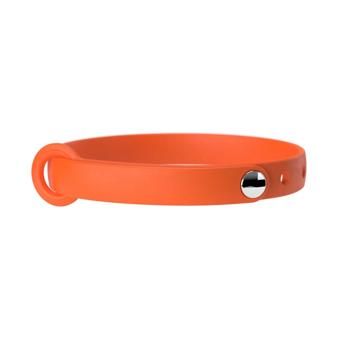 Nuvuq collier pour chat
