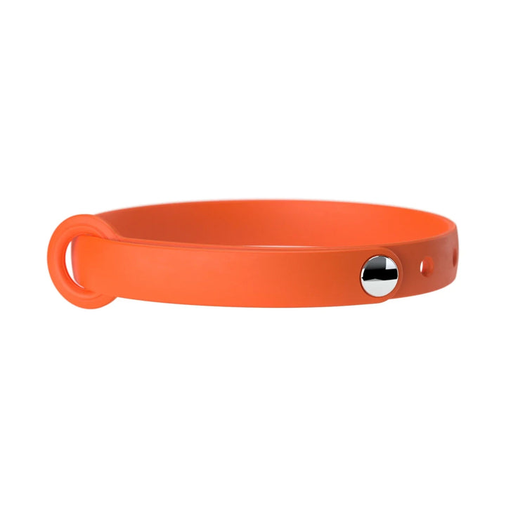Nuvuq collier pour chat