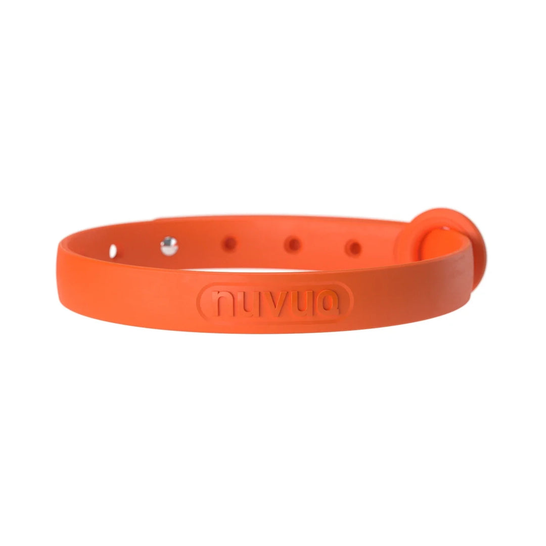 Nuvuq collier pour chat