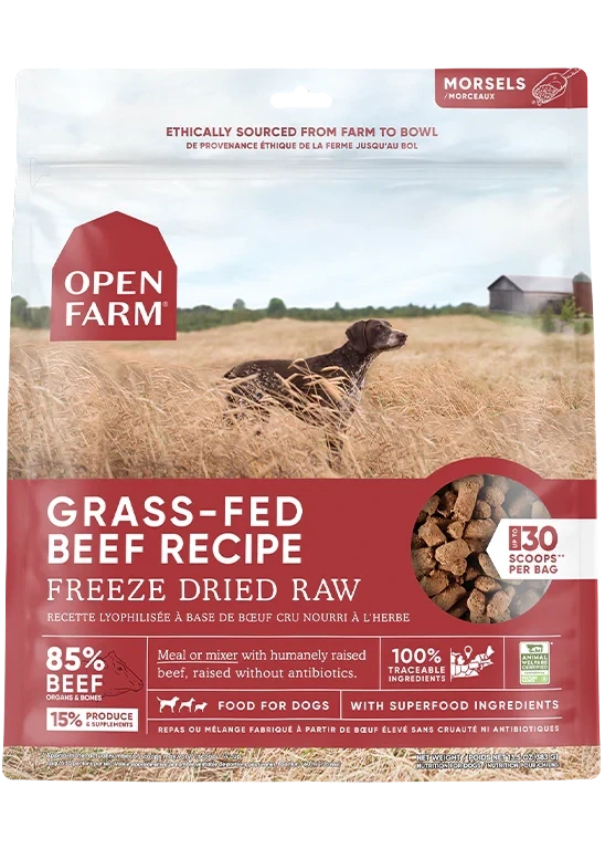 Open Farm recette lyophilisée Boeuf