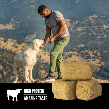 Orijen gâterie lyophilisée pour chiens Regional Red 92g