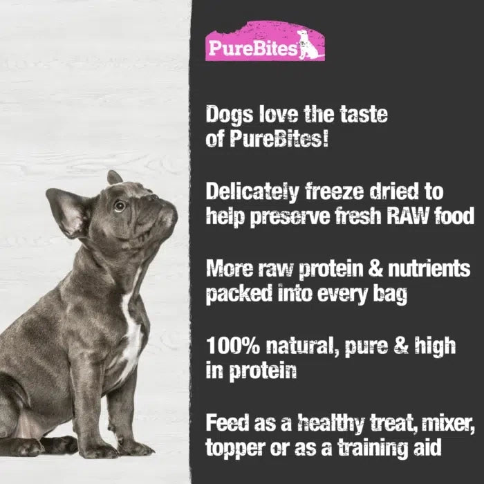 PureBites gâterie pour chiens Saumon 70g