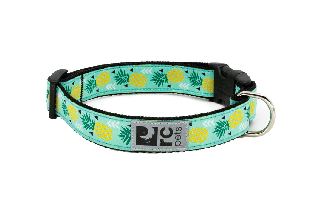 RC Pets collier à clip pour chiens XXS