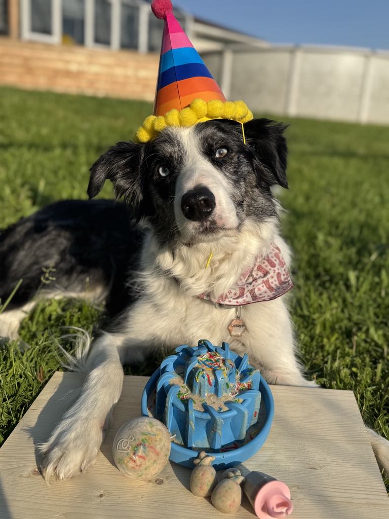 Recette Gâteau de fête