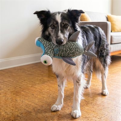 Kong peluche durable pour chiens Armor requin-marteau