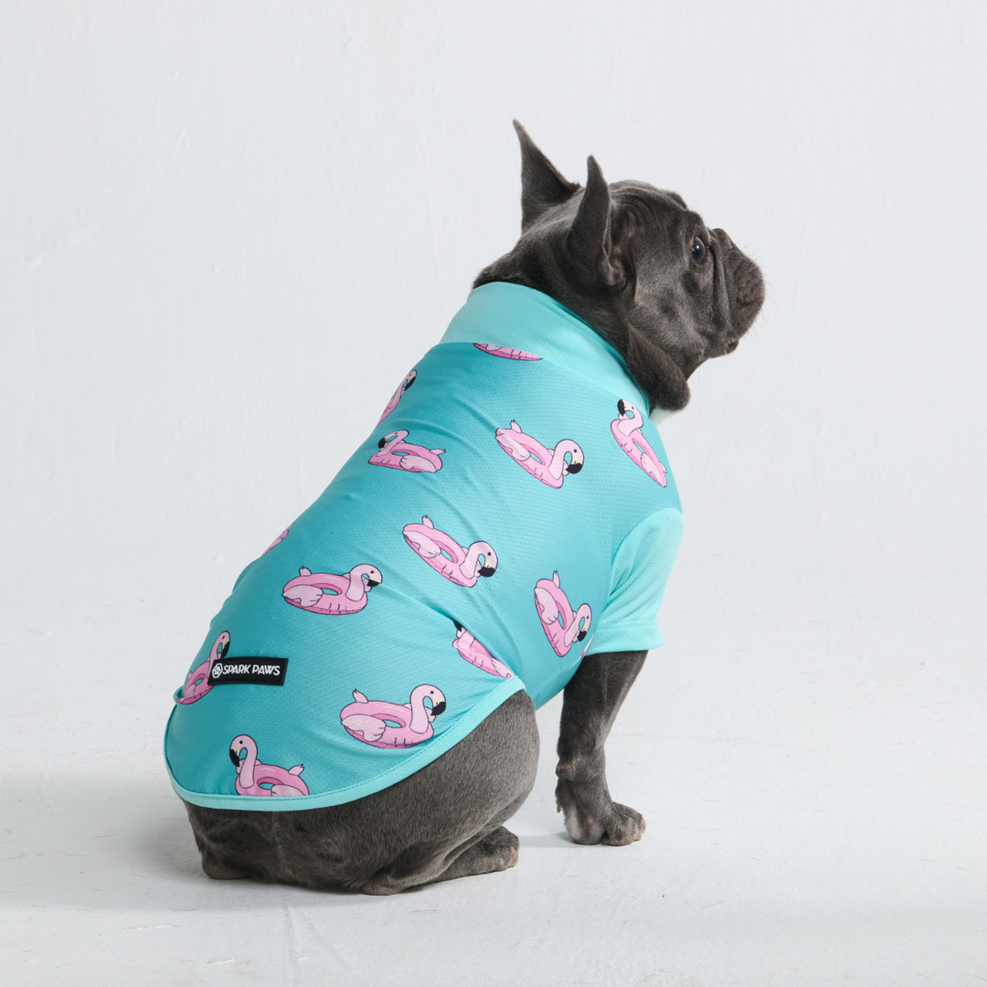 Spark Paws UV Protection Dog Hoodie