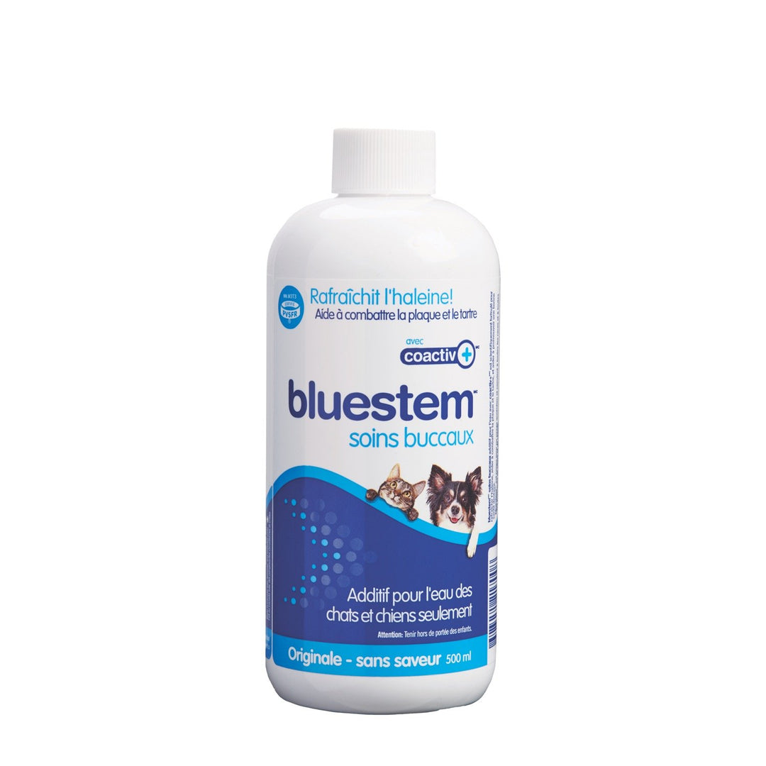 Bluestem additif pour l'eau pour chiens et chats 500 ml