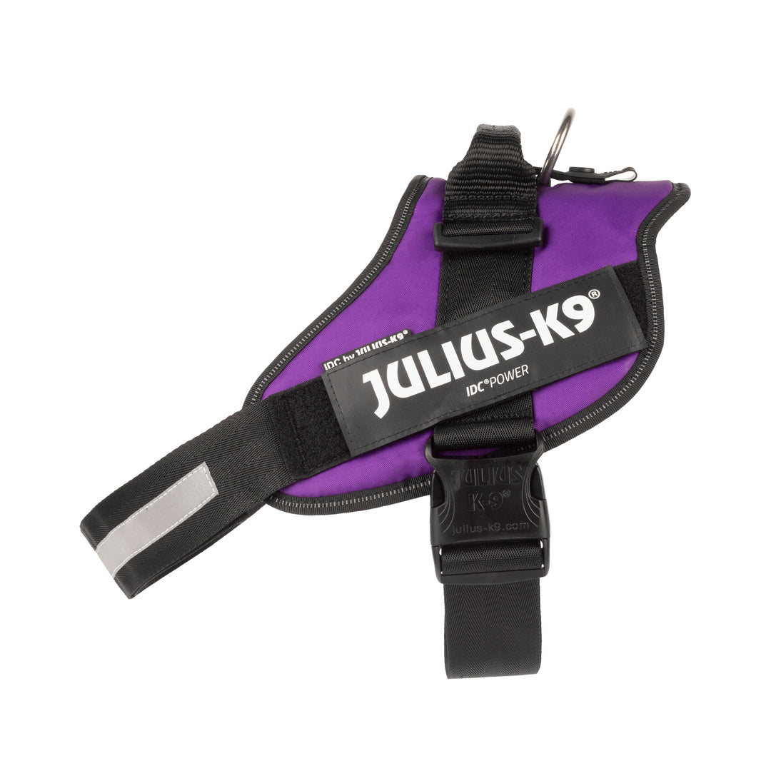 Julius K9 harnais pour chiens IDC Powerharness