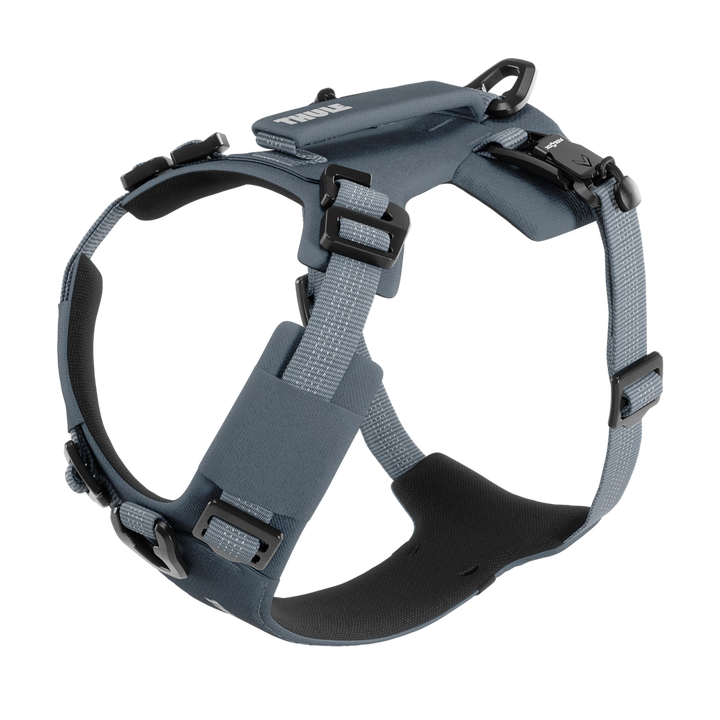Thule harnais robuste pour chiens Dart