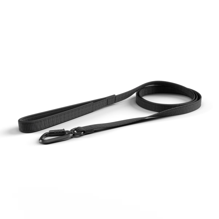 Thule laisse robuste pour chiens Dart