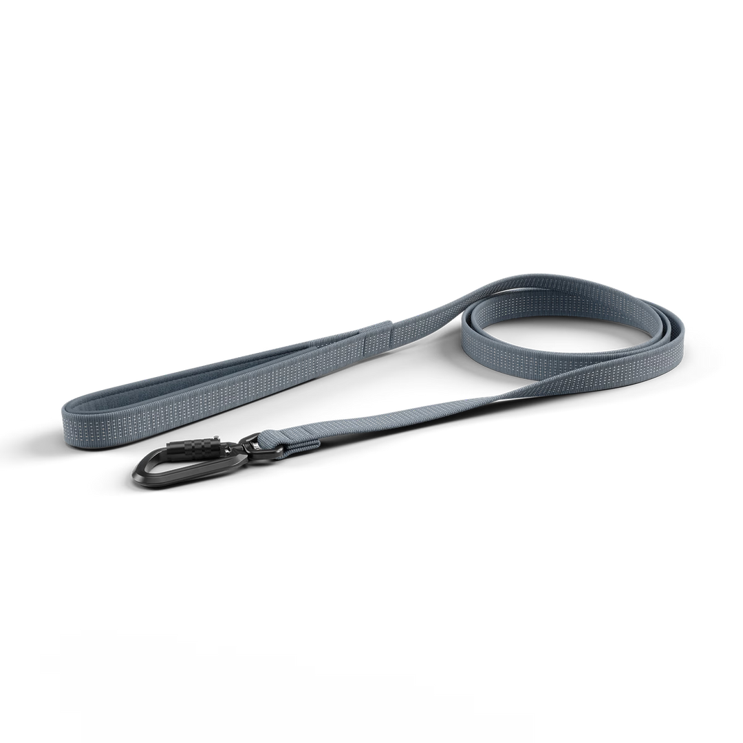 Thule laisse robuste pour chiens Dart