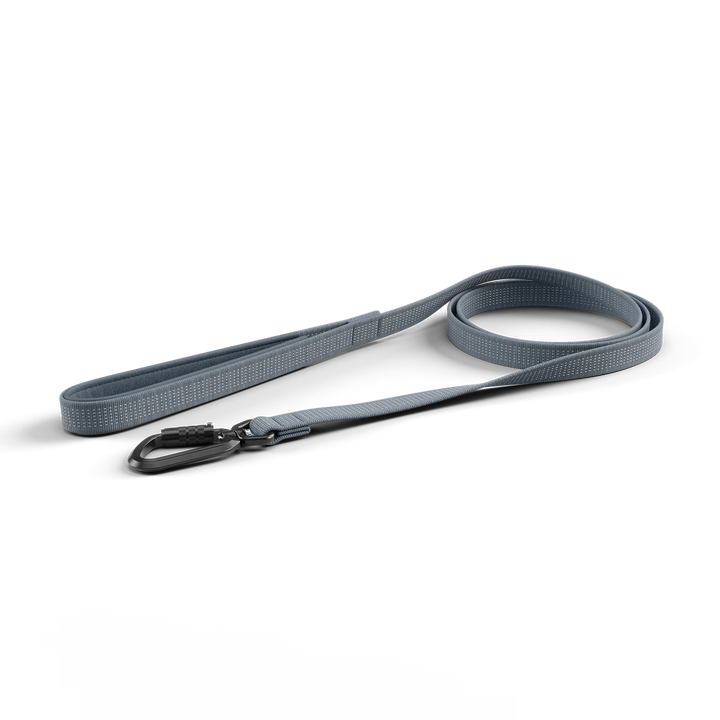 Thule laisse robuste pour chiens Dart