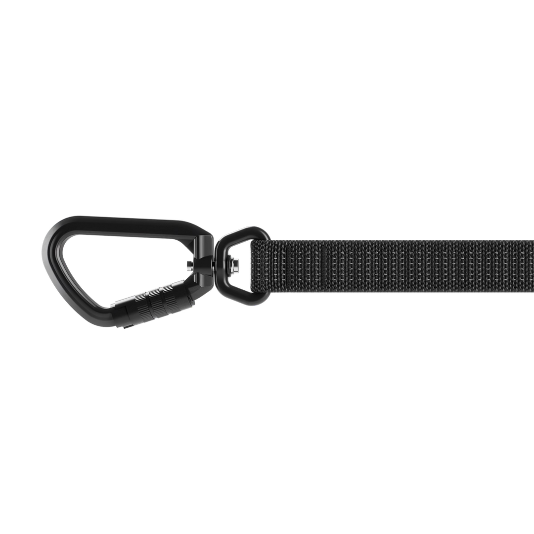 Thule laisse robuste pour chiens Dart