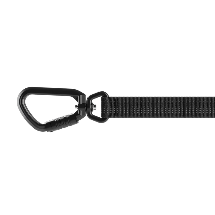 Thule laisse robuste pour chiens Dart