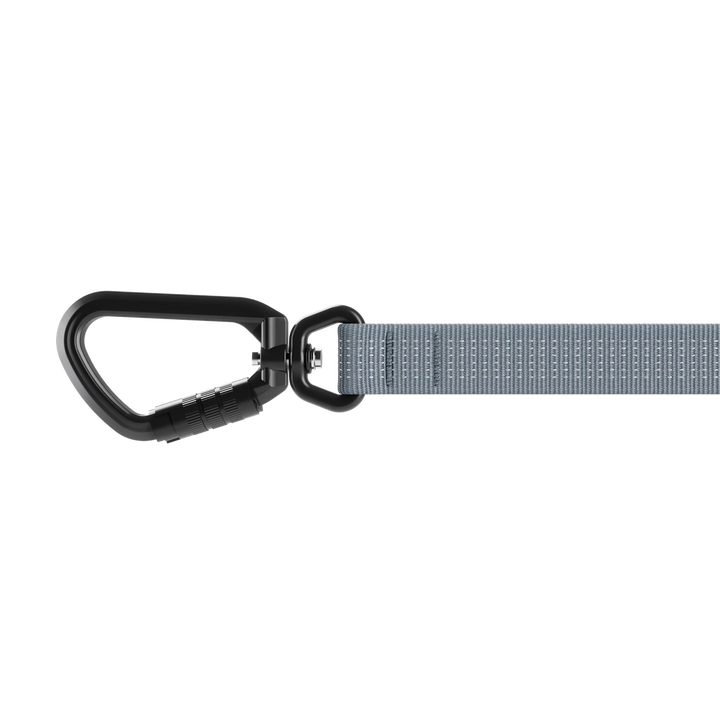 Thule laisse robuste pour chiens Dart