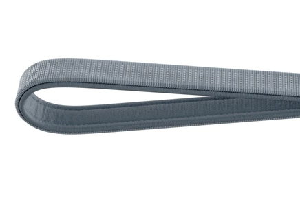 Thule laisse robuste pour chiens Dart
